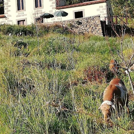 Casa Rural Las Caldereras テロル エクステリア 写真